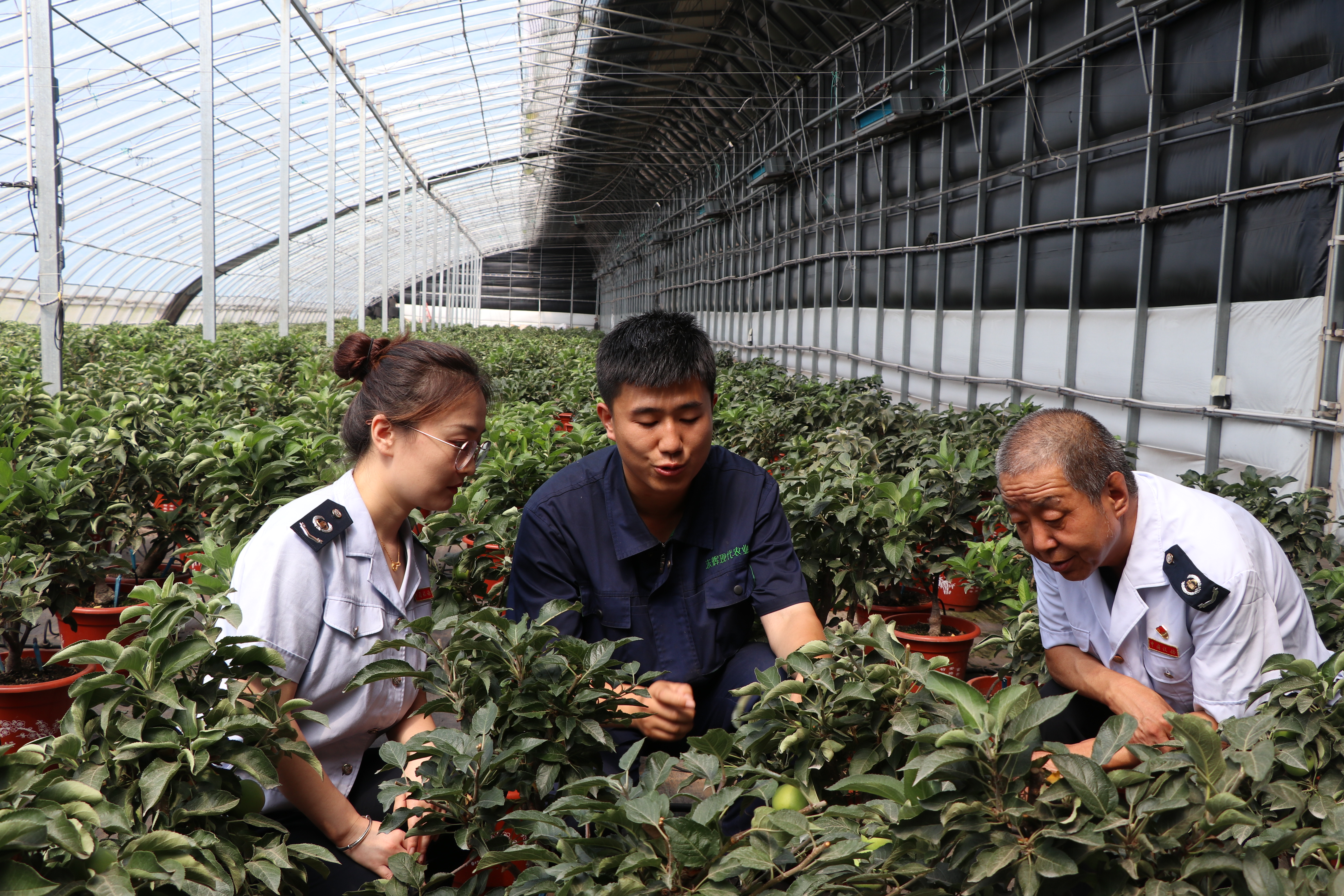 1717409549519096836.jpg 1717409549519096836.jpg