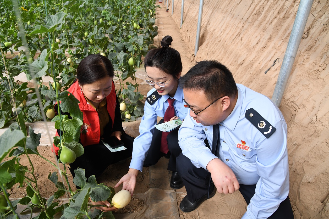 1744097589620073977.jpg 1祁县农耕图片.jpg