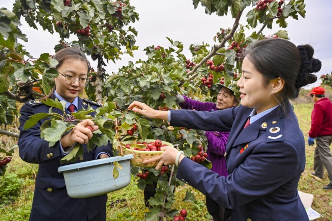 1766541254522032317.jpg 蒲县配图.jpg