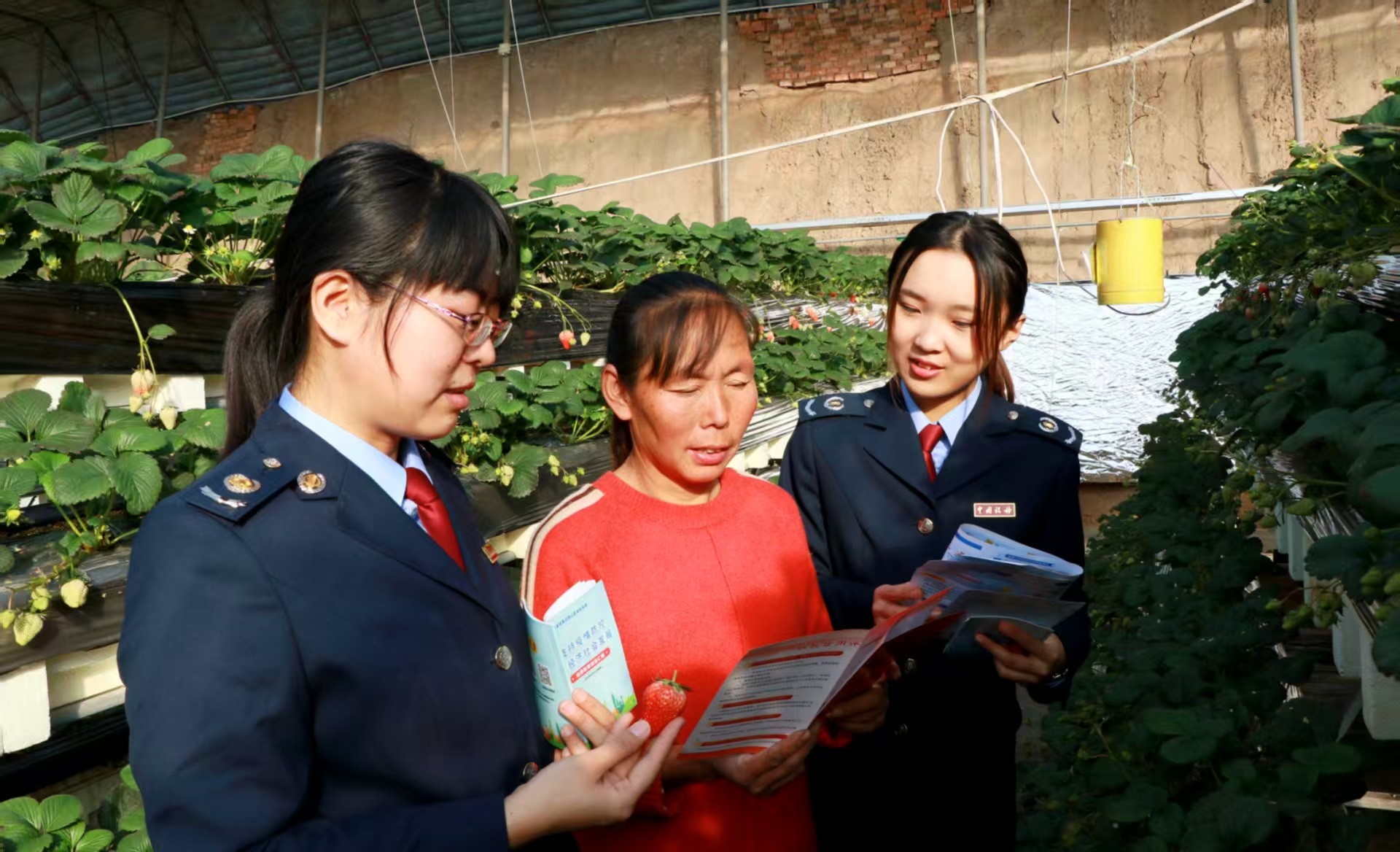 1769152246448073089.jpg 1769152246448073089.jpg