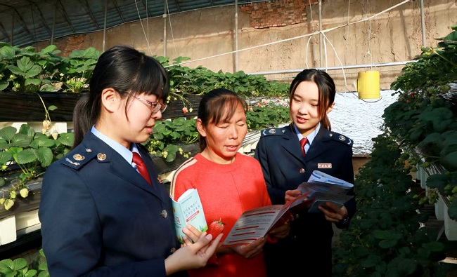 1769153386589027150.jpg 1769152246448073089.jpg