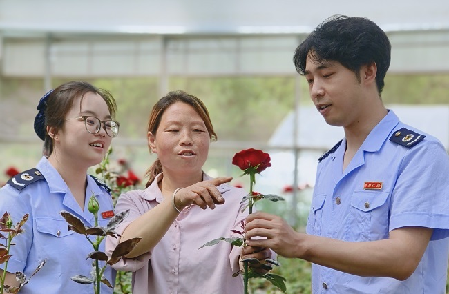 1754275066023004386.jpg 山西税务:以税为“笔”绘就乡村振兴新画卷 (2)-2-650.jpg