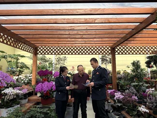 2-2 20260202（内网+外网）娄烦县税务：新春花市添“新”景 税务护航伴前行1_副本.jpg